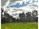 63 Rangeview Drive, Jindera NSW 2642