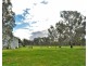 63 Rangeview Drive, Jindera NSW 2642