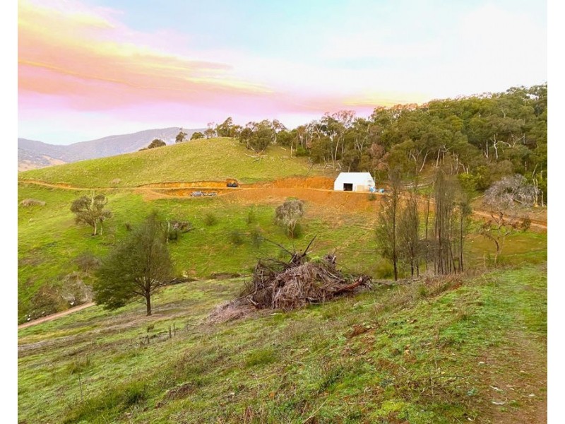 884 Upper Murray Road, Towong VIC 3707