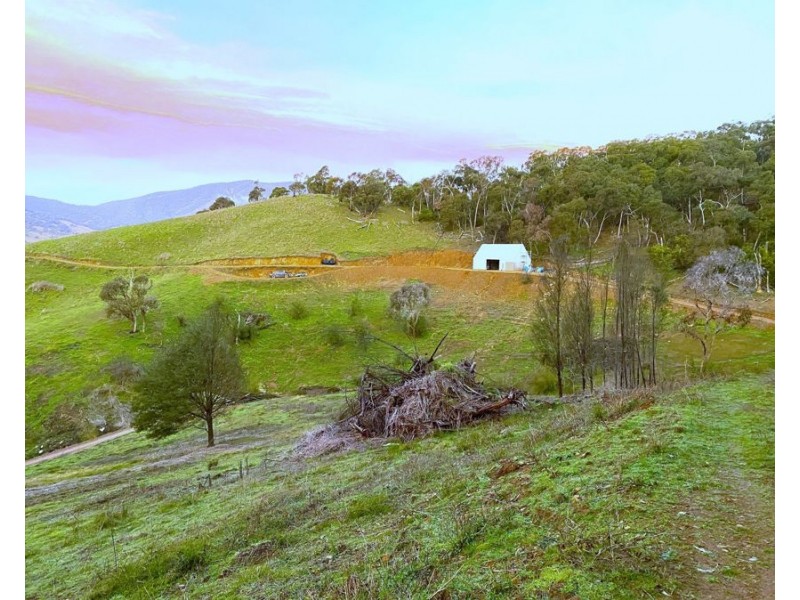 884 Upper Murray Road, Towong VIC 3707