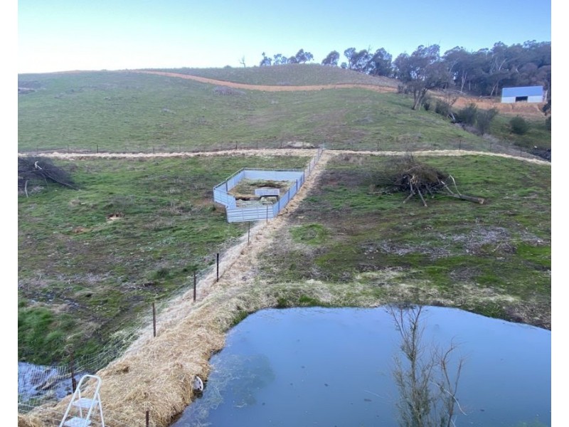 884 Upper Murray Road, Towong VIC 3707