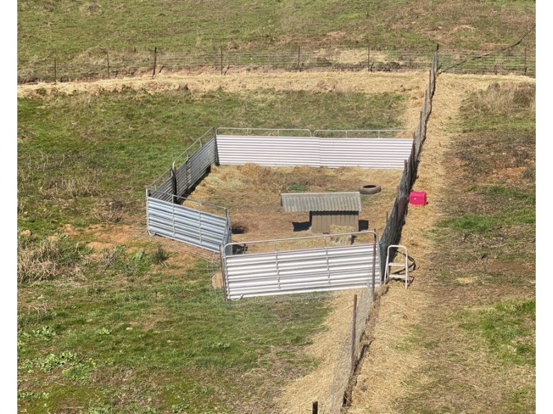 884 Upper Murray Road, Towong VIC 3707