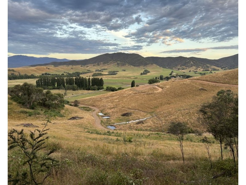 884 Upper Murray Road, Towong VIC 3707