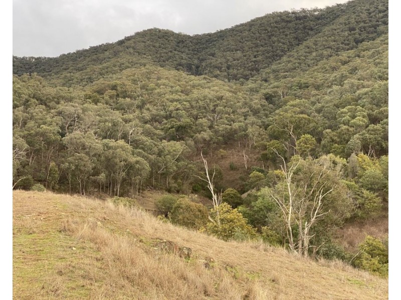 884 Upper Murray Road, Towong VIC 3707