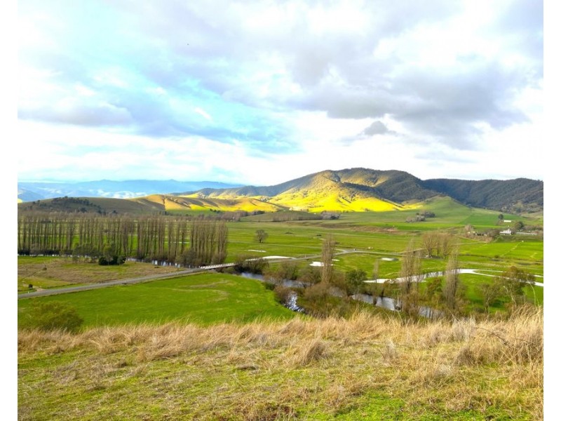 884 Upper Murray Road, Towong VIC 3707