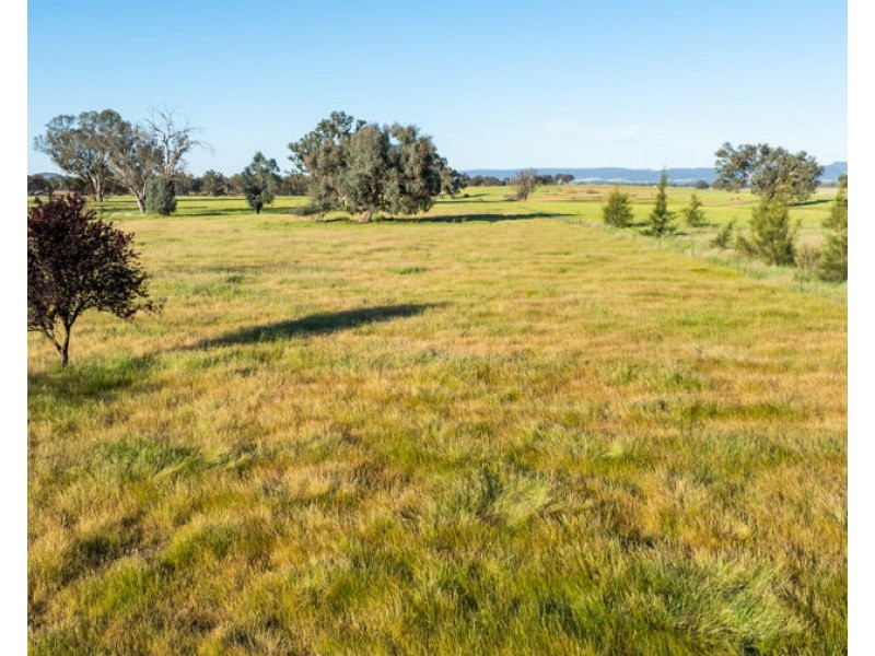 99 Lindner Street, Jindera NSW 2642