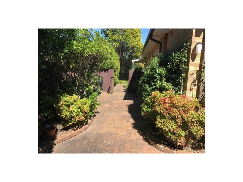 79 Beaconsfield Road, Chatswood NSW 2067