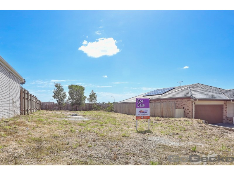 3 Mount Roberts Street, Park Ridge QLD 4125
