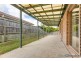59 James Josey Avenue, Springfield Lakes QLD 4300
