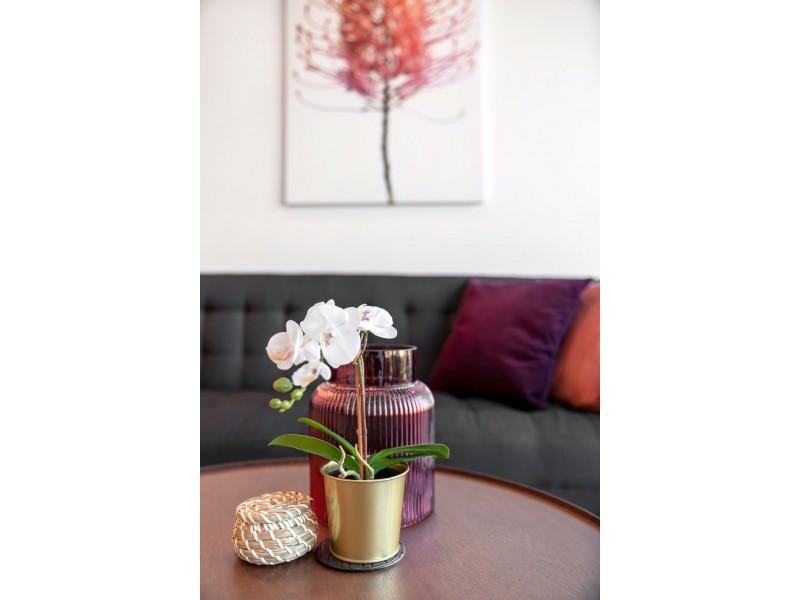 19 Hope Street, South Brisbane QLD 4101