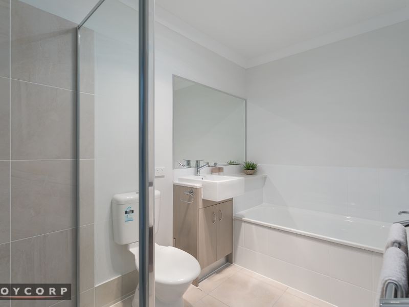 11 Rachow Street, Thornlands QLD 4164