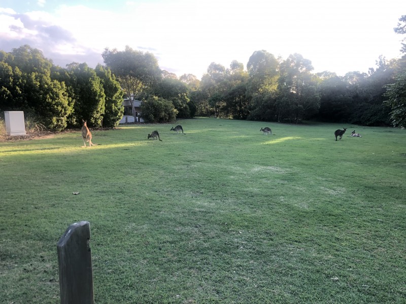 29/18a Wilga St, Wacol QLD 4076