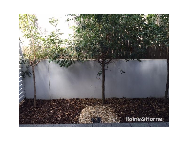 15/60 Cowie Rd, Carseldine QLD 4034