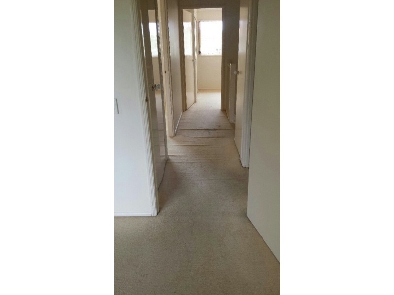 49/2 Bos Drive, Coomera QLD 4209