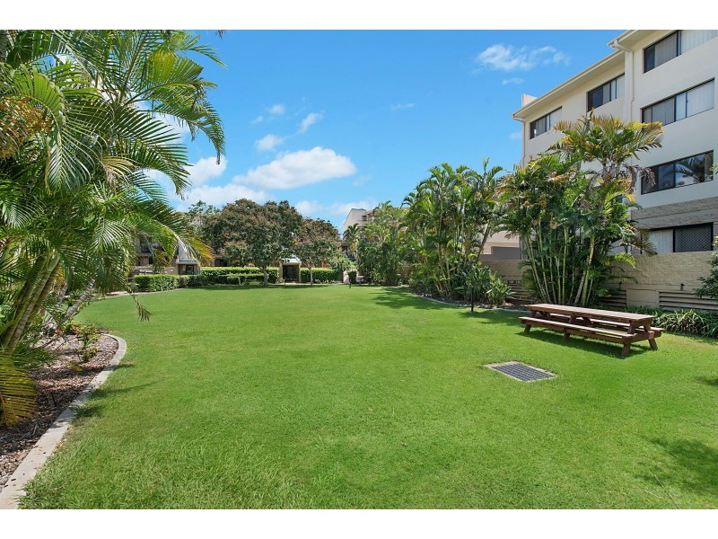 51/55 Harries Road, Coorparoo QLD 4151