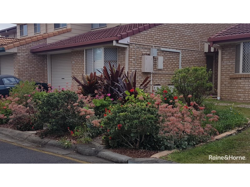 39/135 Bage Street, Nundah QLD 4012