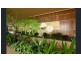 25 Shafston Avenue, Kangaroo Point QLD 4169