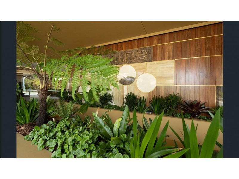 25 Shafston Avenue, Kangaroo Point QLD 4169