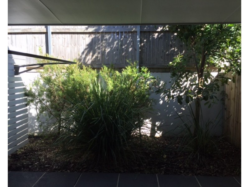 39/25 Northmarque Street, Carseldine QLD 4034