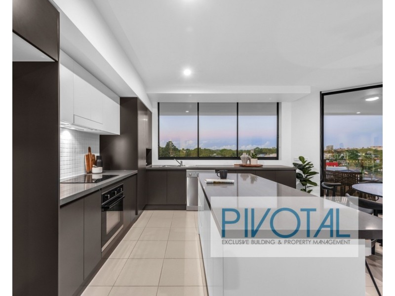 4153/8 Holden Street, Woolloongabba QLD 4102