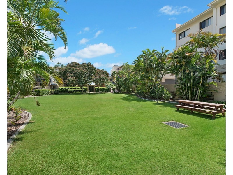 45 Harries Rd, Coorparoo QLD 4151