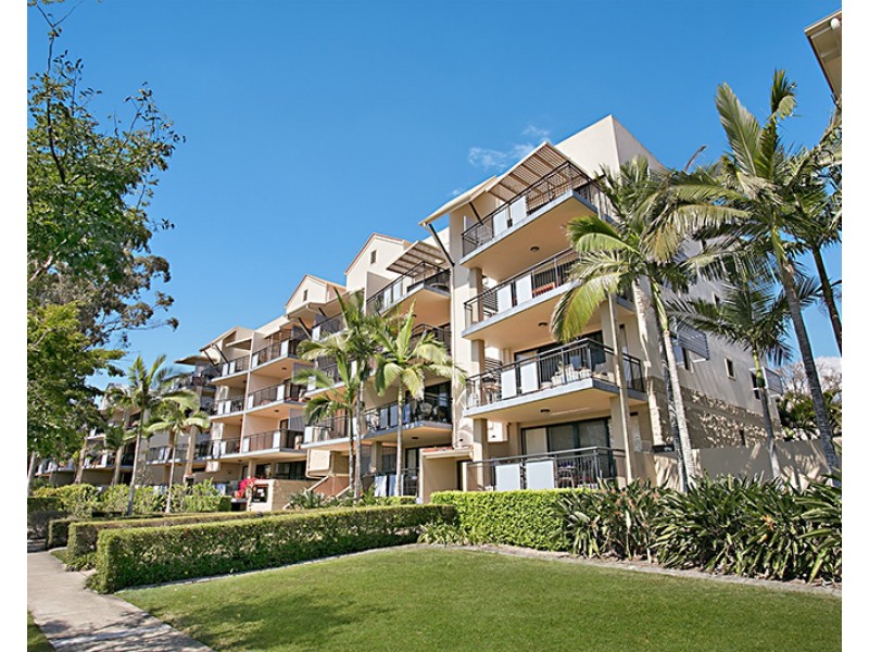 55 Harries Road, Coorparoo QLD 4151