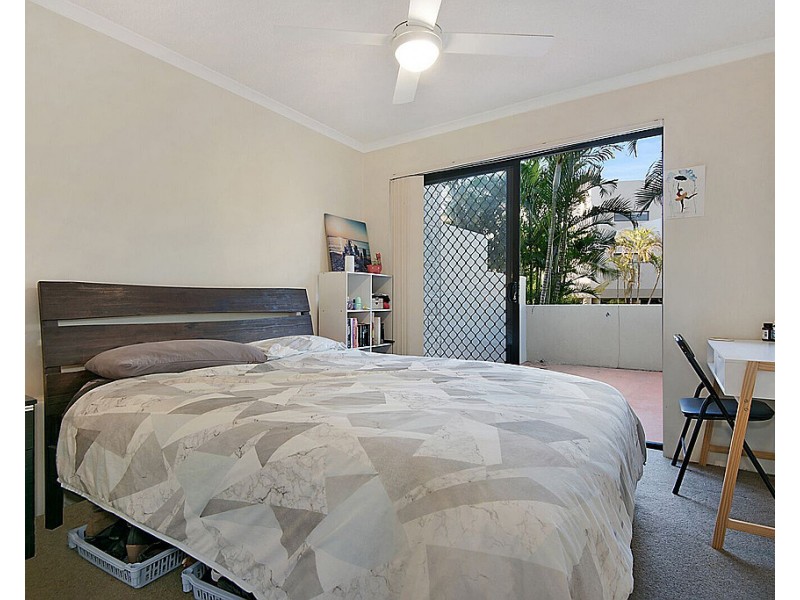 55 Harries Road, Coorparoo QLD 4151