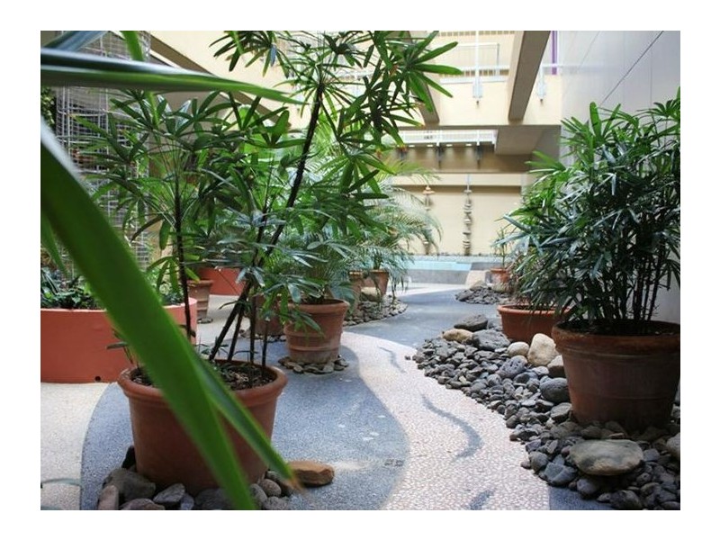 38 Warner Street, Fortitude Valley QLD 4006