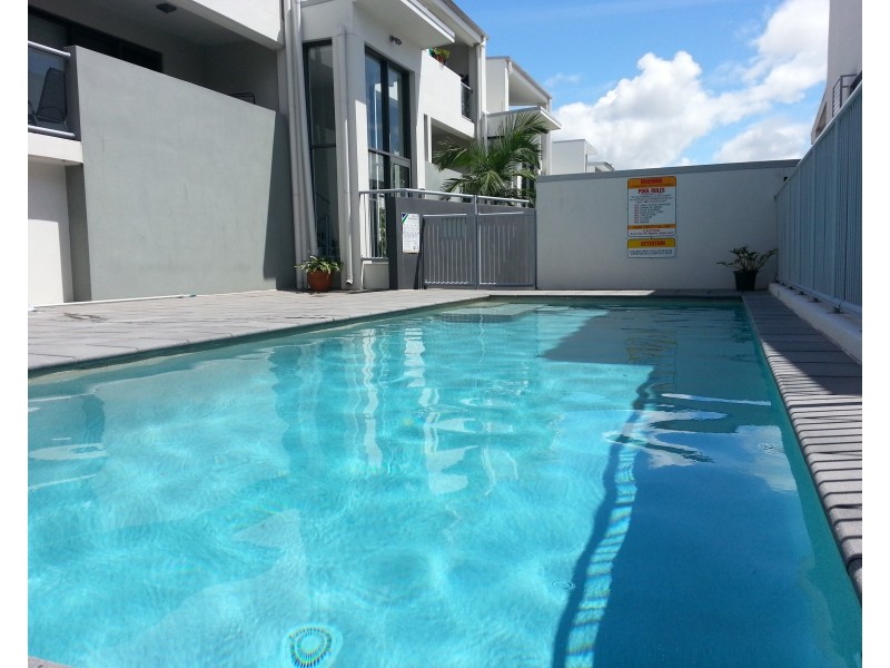 16/19 Baringa Street, Morningside QLD 4170