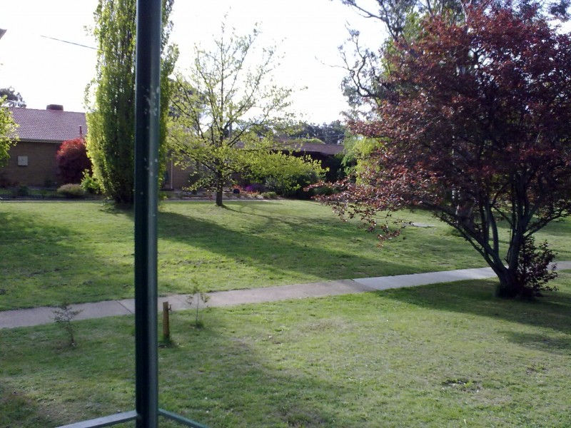 8 Macadam St, Page ACT 2614