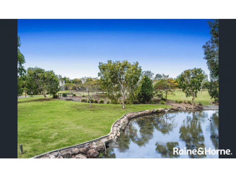 61/123 Barrack Road, Cannon Hill QLD 4170