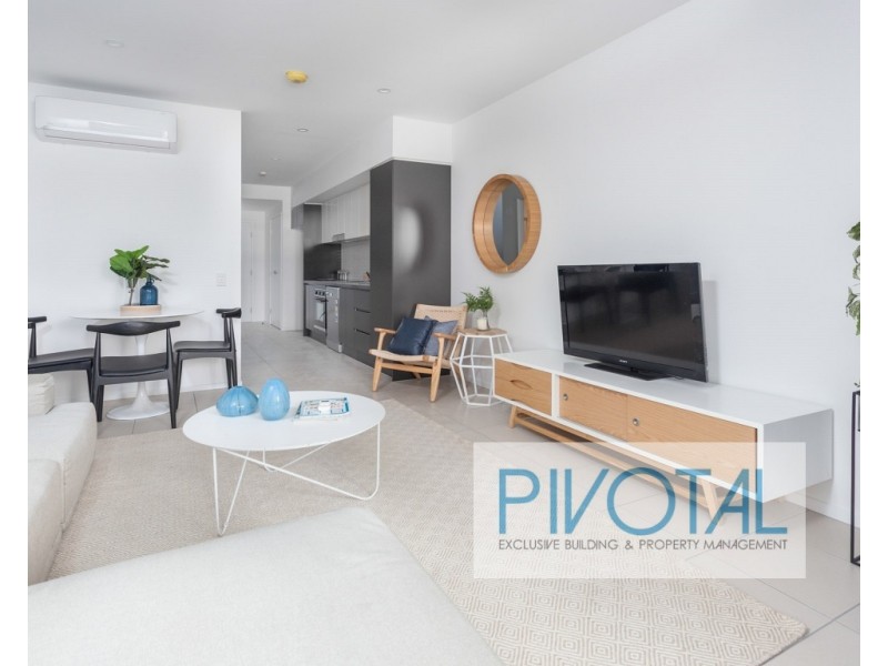 2011/8 Holden Street, Woolloongabba QLD 4102