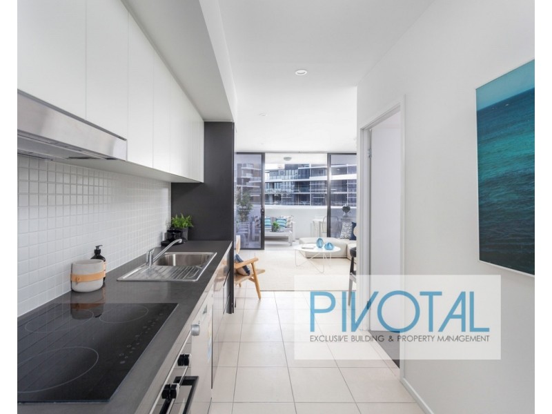 2011/8 Holden Street, Woolloongabba QLD 4102