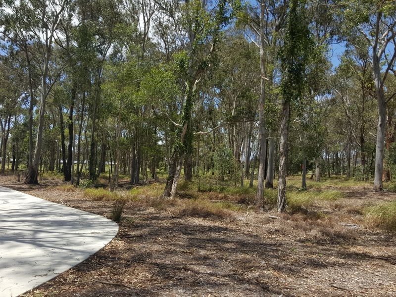 11 Rachow Street, Thornlands QLD 4164