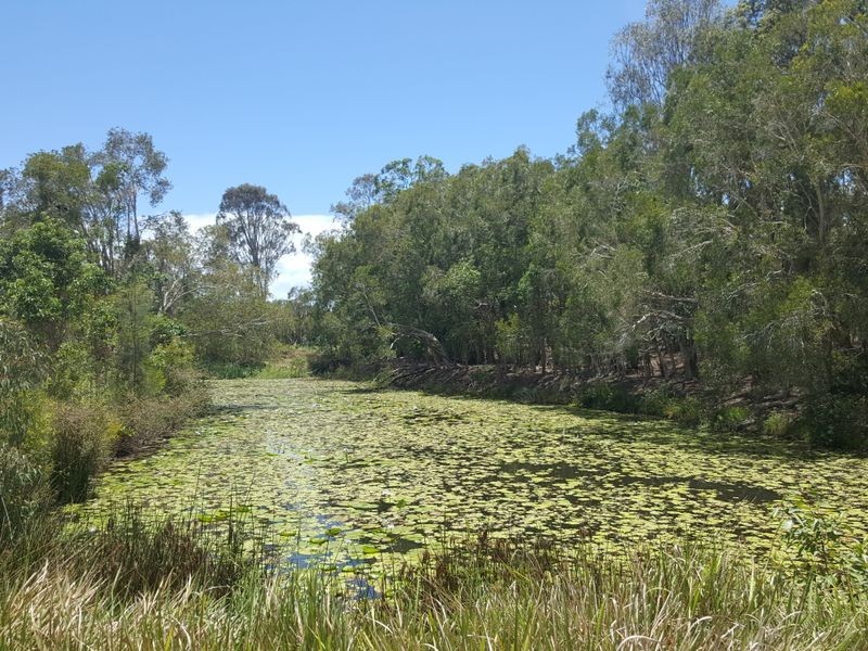 11 Rachow Street, Thornlands QLD 4164