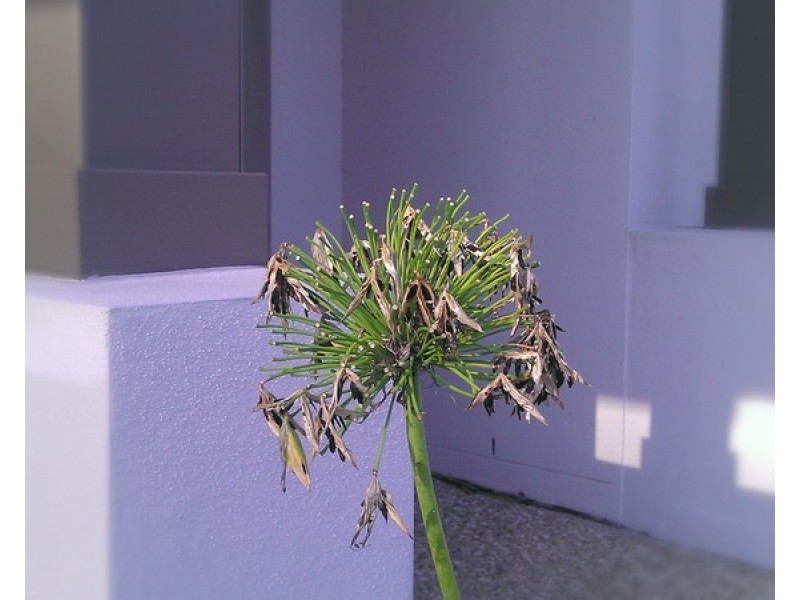 14/75 LEVINGTON ROAD, Eight Mile Plains QLD 4113