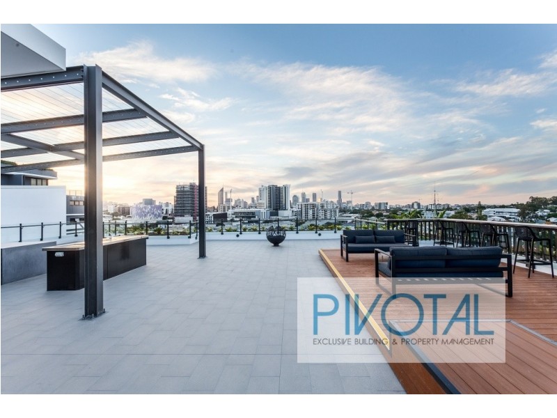 3052/8 Holden Street, Woolloongabba QLD 4102