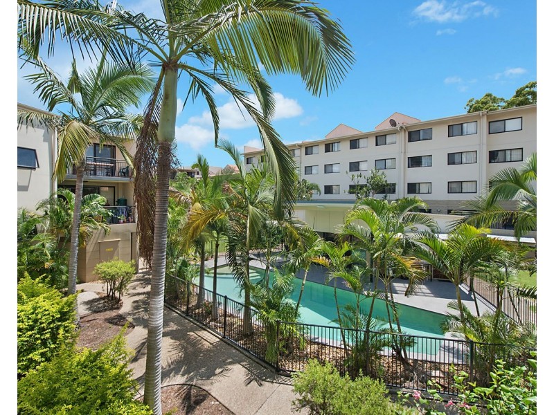 45 Harries Road, Coorparoo QLD 4151