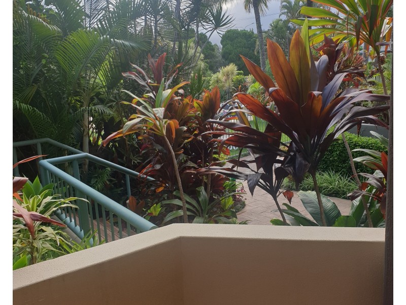 143 Golden Four Drive, Bilinga QLD 4225