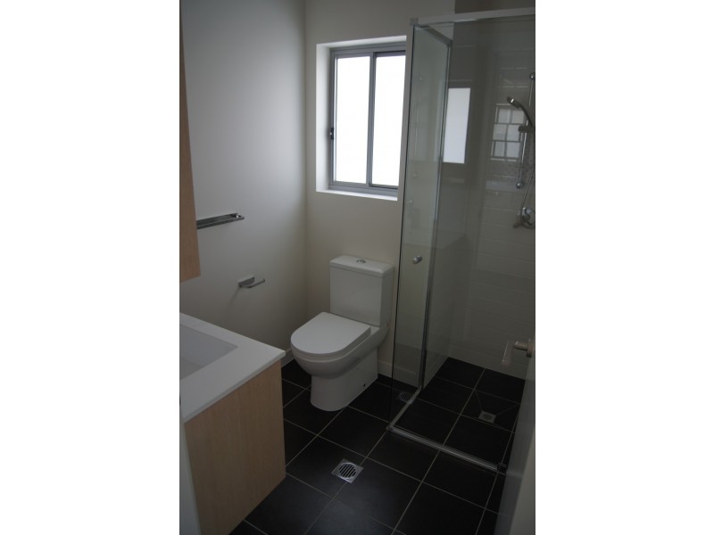 19 Talbot Street, Coorparoo QLD 4151