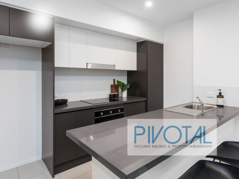 111/8 Holden Street, Woolloongabba QLD 4102