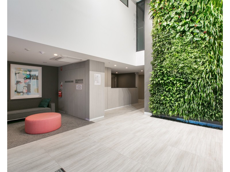 1016/123 Cavendish Road, Coorparoo QLD 4151