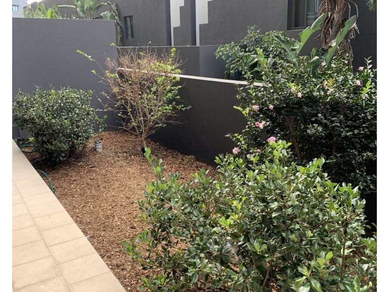 205/8 Musgrave, West End QLD 4101