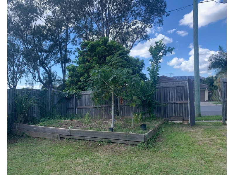 28 Northmarque Street, Carseldine QLD 4034