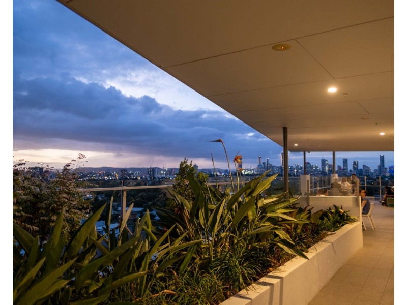 1098/123 Cavendish Road, Coorparoo QLD 4151