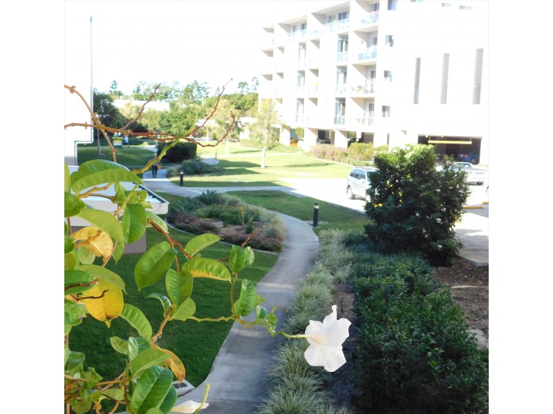 2/3 McLennan Court, North Lakes QLD 4509