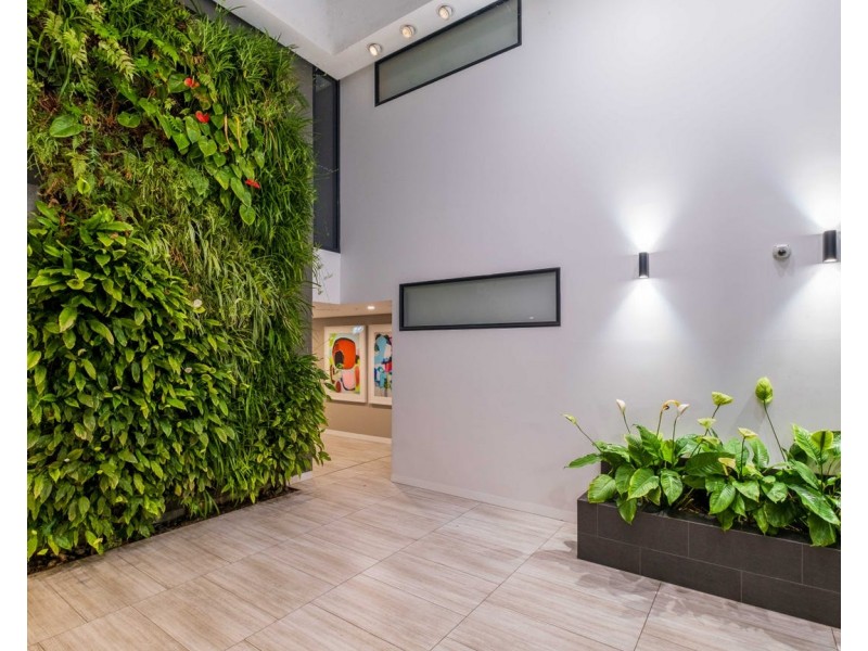 2062/123 Cavendish Road, Coorparoo QLD 4151