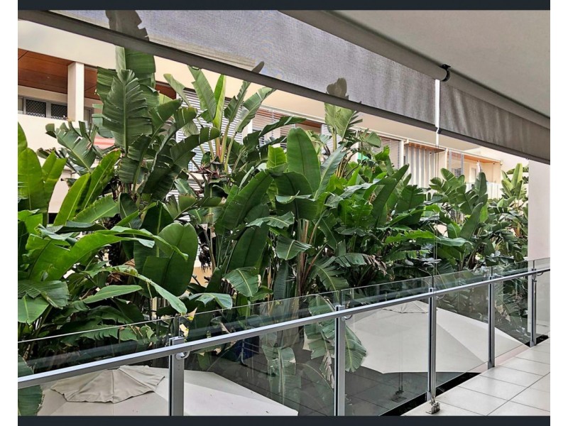 11/18 Barramul Street, Bulimba QLD 4171