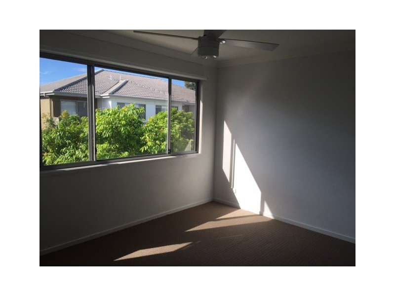 19/60 Cowie Rd, Carseldine QLD 4034