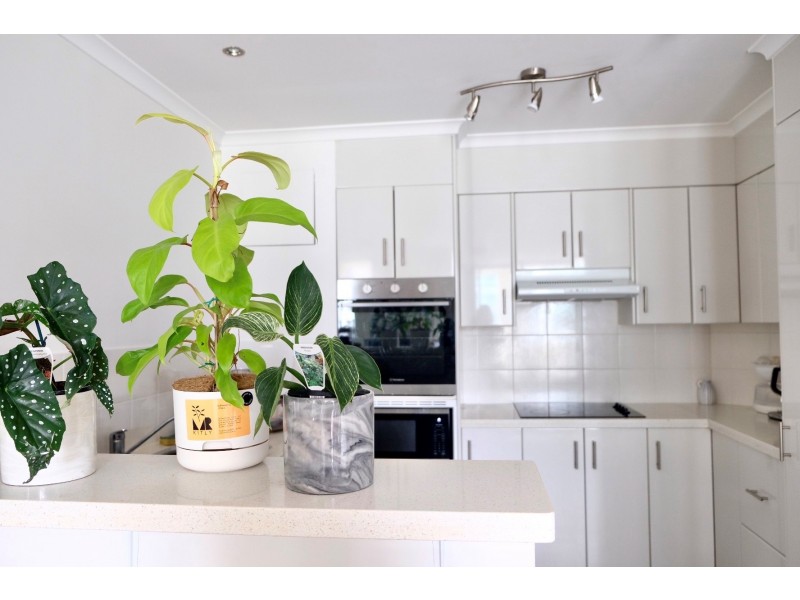 15/57 Lambert Street, Kangaroo Point QLD 4169